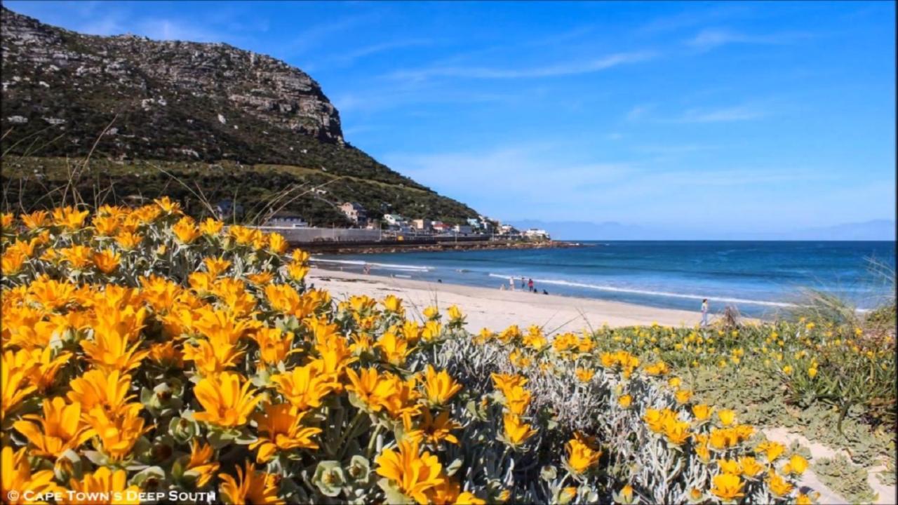 Paradise On The Bay Fish Hoek Exteriér fotografie